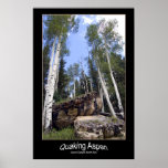 Hillside Quaking Aspen & Unearthed Boulders posters