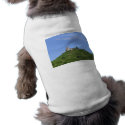 Hilltop Castle Ruins pet clothing