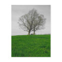 hilltop postcards