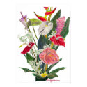 Hilo Flowers Watercolor Print and Poster by lillyarts Hilo Flowers Watercolor Print and Poster