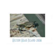 Hilton Head Island Poster posters by scituations Hilton Head Island Poster posters