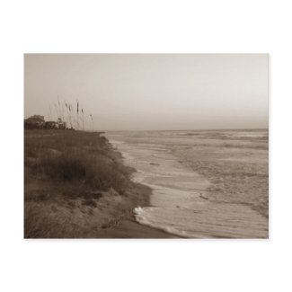 Hilton Head Island Shoreline Postcard / Sephia zazzle_postcard
