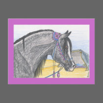 "Hilw bint Umm Ard" postcards by smilodonart "Hilw bint Umm Ard" postcards