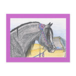 "Hilw bint Umm Ard" Postcard