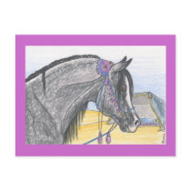"Hilw bint Umm Ard" postcards by smilodonart "Hilw bint Umm Ard" postcards