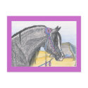 "Hilw bint Umm Ard" postcards