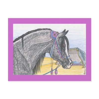 "Hilw bint Umm Ard" Postcard by smilodonart