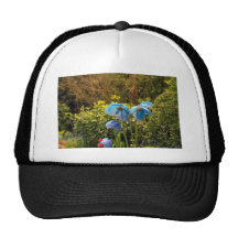 himalayan blue poppy mesh hats