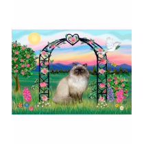 Himalayan Cat - Rose Arbor t-shirts