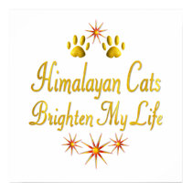 Himalayan Cats Brighten My Life posters