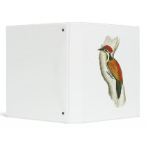 Himalayan Flameback Vinyl Binder