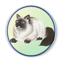 Himalayan Kitty Magnet