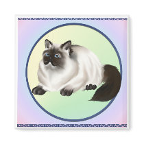 Himalayan Kitty Magnet magnets