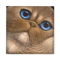HIMALAYAN PERSIAN CAT Magnet by BY_CYRA HIMALAYAN PERSIAN CAT Magnet