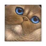 HIMALAYAN PERSIAN CAT Magnet
