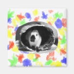 Himalayan Rabbit BW Photo in round can Magnet