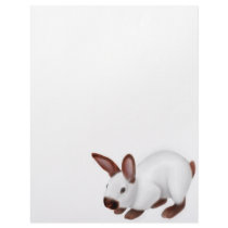 Himalayan Rabbit Letterhead