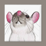 Himalayan rat magnet magnets