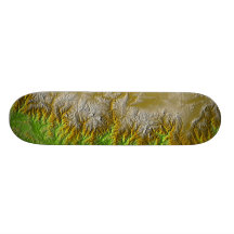 Himalayan Skateboard