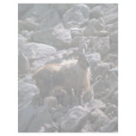 Himalayan tahr letterhead template