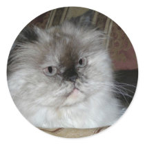 Himalayan Torti Point stickers by SpiritEyes Himalayan Torti Point stickers