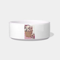 Himilayan Kittens Cat Pet Bowl Cat Food Bowl