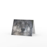 Himtuuqin Note Card