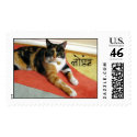Hindi Calico Cat postage by TigerLilly_973 Hindi Calico Cat postage