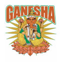 Hindu Ganesha t-shirts