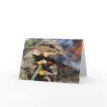HINDU PUBLIC CREMATION CEREMONY cards