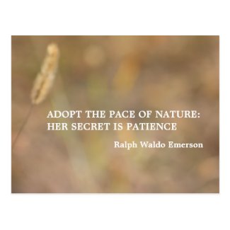 "Hint Of Nature" Photography Art with Quote Postcard