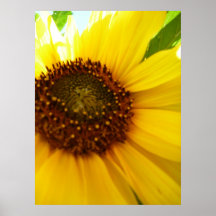 Hint of Sunshine Poster