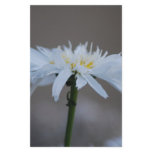 Hippie daisy and meaning customized stationery