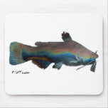 Hippie Fish Collection by FishTs.com