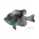 Hippie Fish Collection by FishTs.com