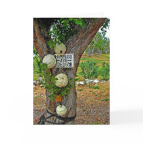 hippies use side door greeting card