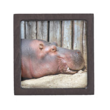 hippo2-3 premium trinket box