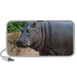 Hippo4x6 Notebook Speakers
