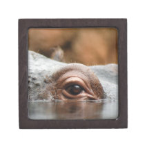hippo-5 premium trinket boxes