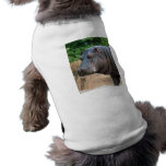 hippo-6 pet tshirt