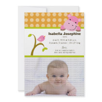 Hippo and Birdie Baby Birth Announcement (orange) invitations