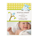 Hippo and Birdie Baby Boy Birth Announcement Postcards