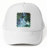 Hippo Baseball Hat