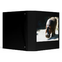 Hippo binders