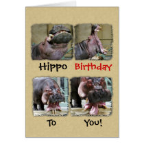Hippo Birthday To You Greeting Card cards