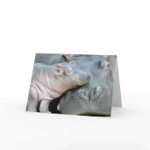 Hippo cards by Schwanitz Hippo cards