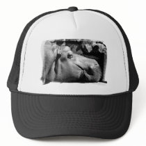 Hippo Doze Hat by buffaloworks Hippo Doze Hat