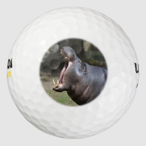 Hippo Golf Balls Zazzle
