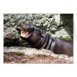 Hippo Greeting Cards