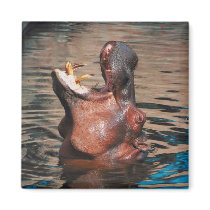 Hippo Head magnets by alternateworlds Hippo Head magnets